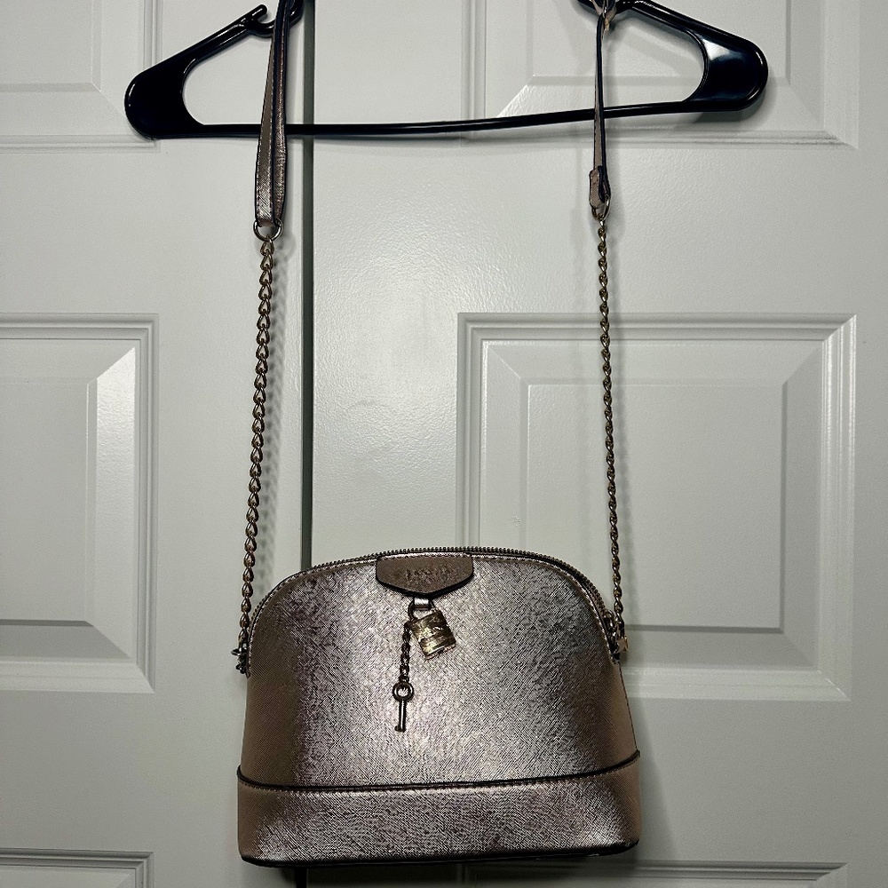 Aldo golden rose purse